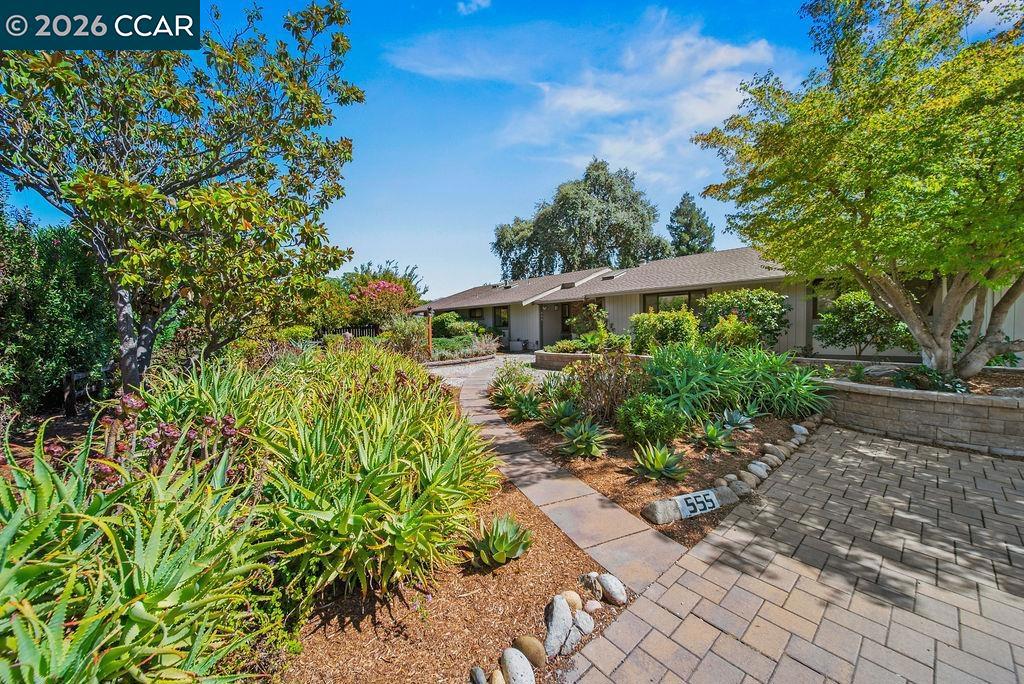 555 Kismet Ct, Walnut Creek, CA 94597 — photo 1