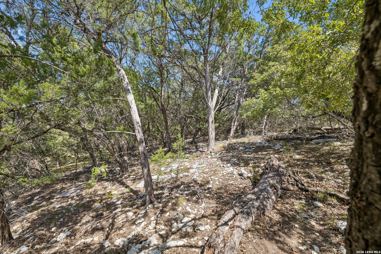 COMANCHE TRL Comanche Path, , 78003 — photo 1