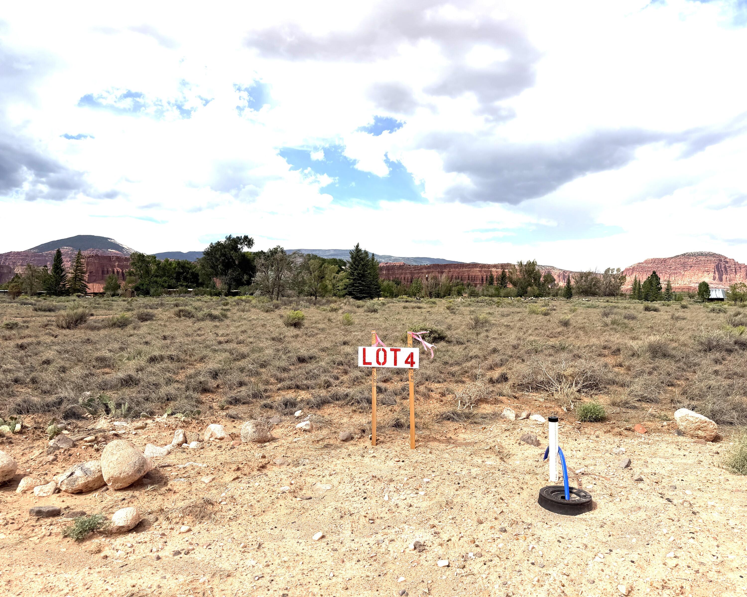 925 W 100 ST S Lot 4, Torrey, UT 84775