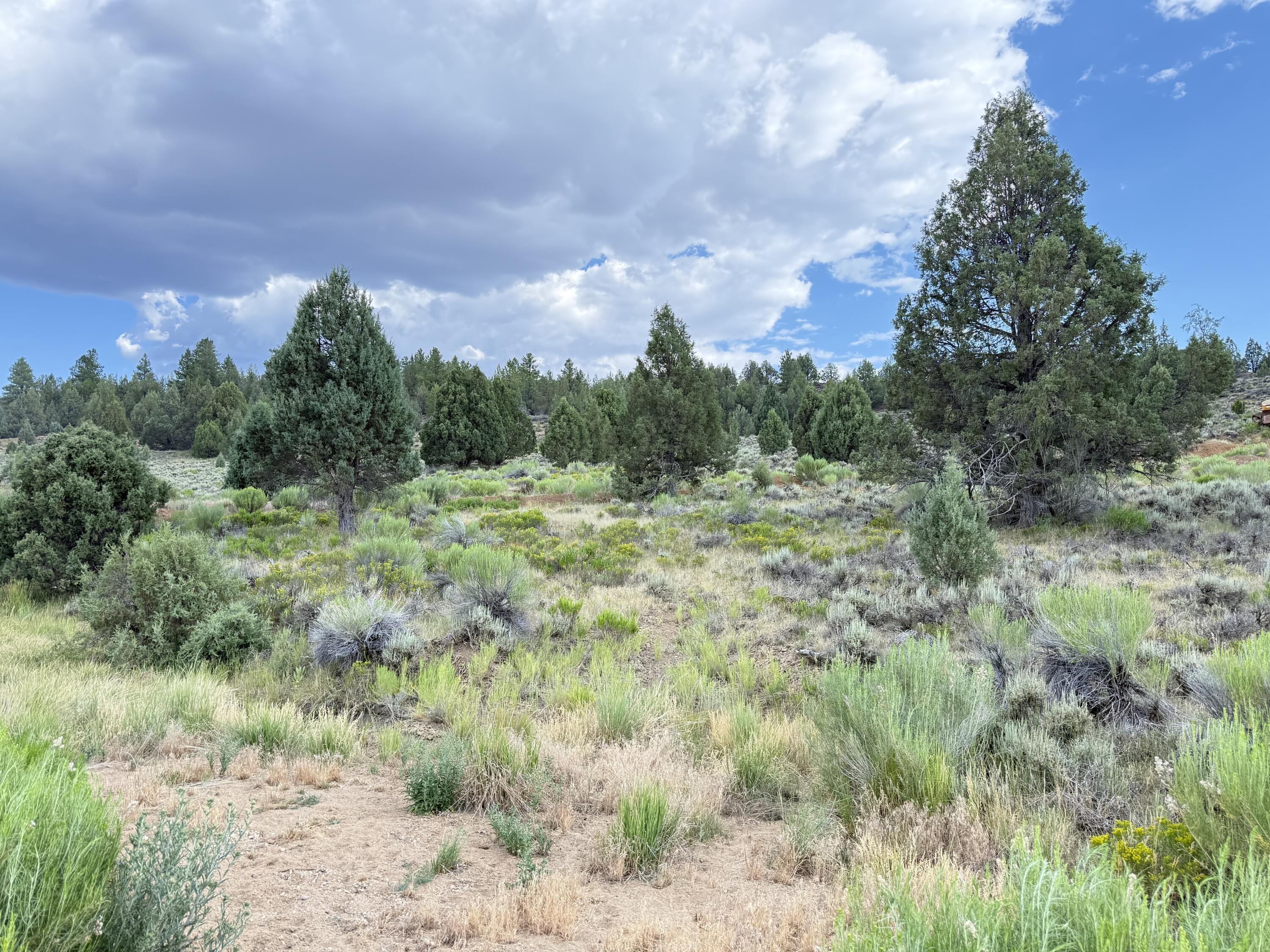Chippewa DR, Duck Creek, UT 84762 — photo 1
