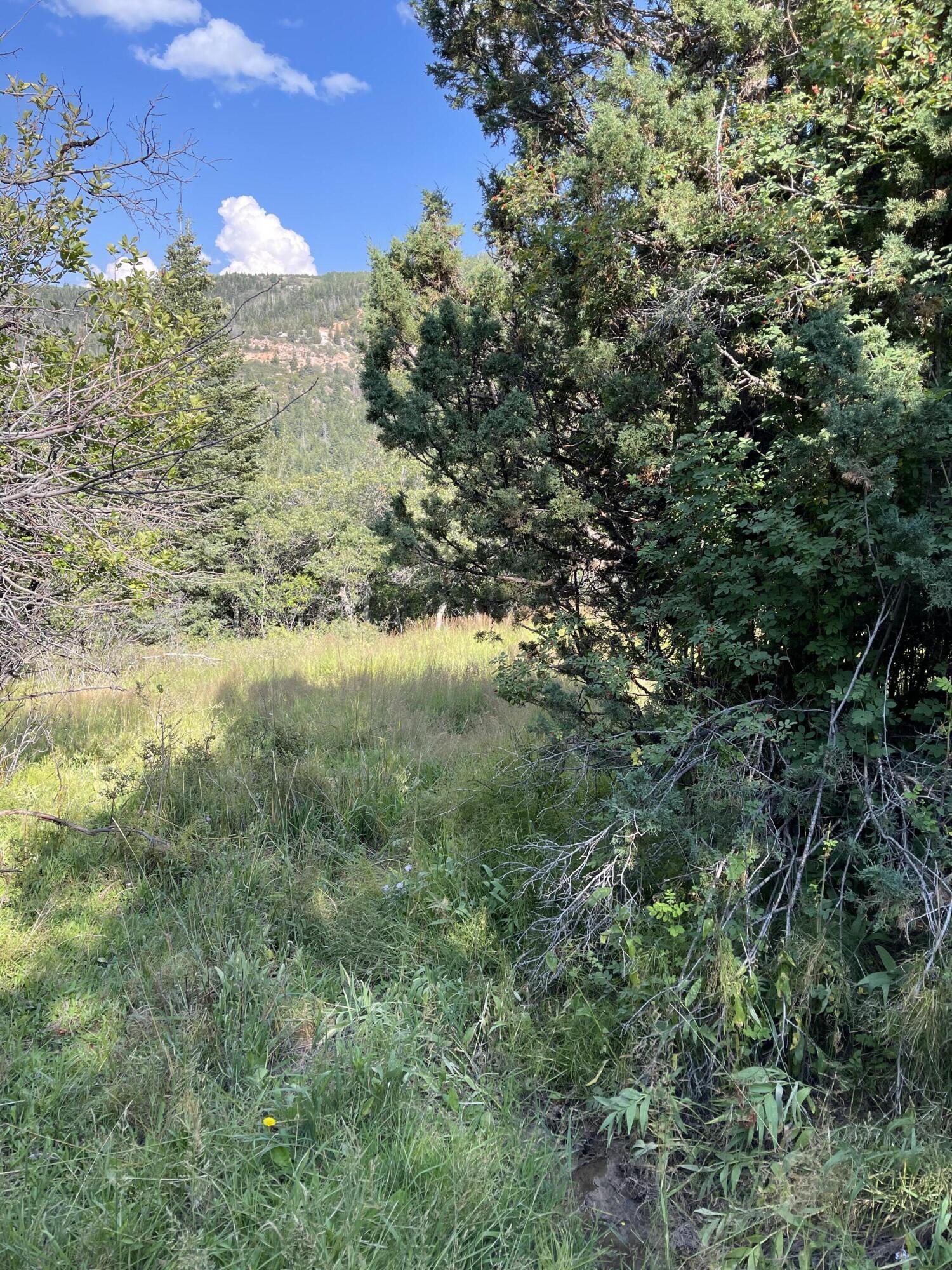 Lot 129 3200 Subdivision, Summit, UT 84772 — photo 1