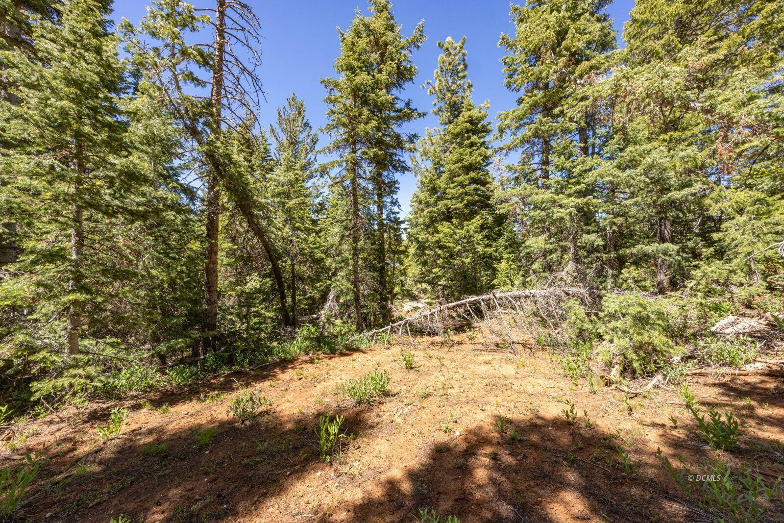 1355 W Twisted Trail, Duck Creek Village, UT 84762 — photo 1