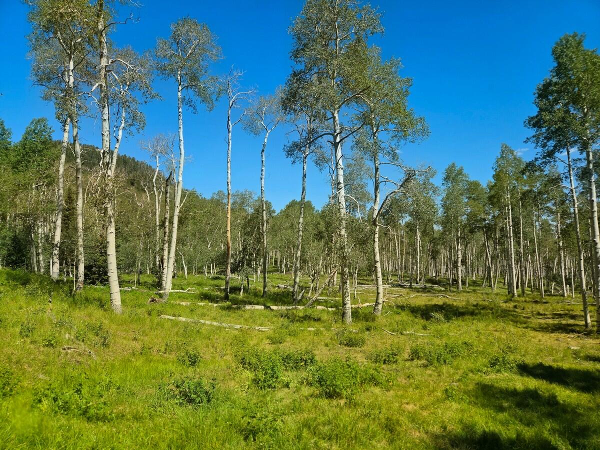 40 Acres Summit Mountain RD, Brian Head, UT 84719 — photo 1