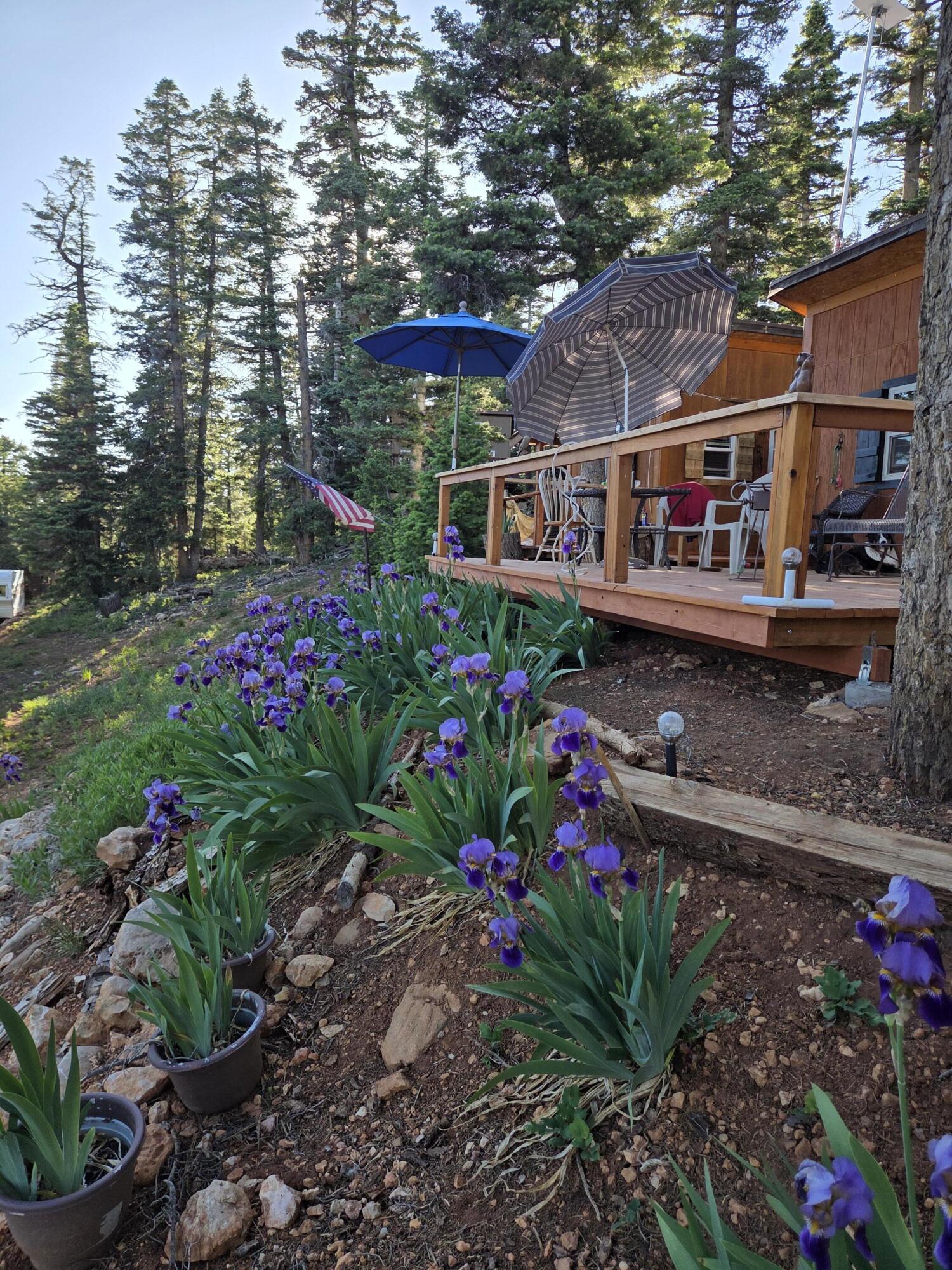 5680 W Berry LP, Duck Creek, UT 84762 — photo 1