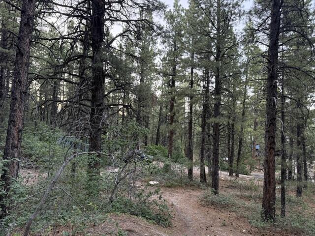 137 N Kolob Pines DR 36, Kolob, UT 84767 — photo 1