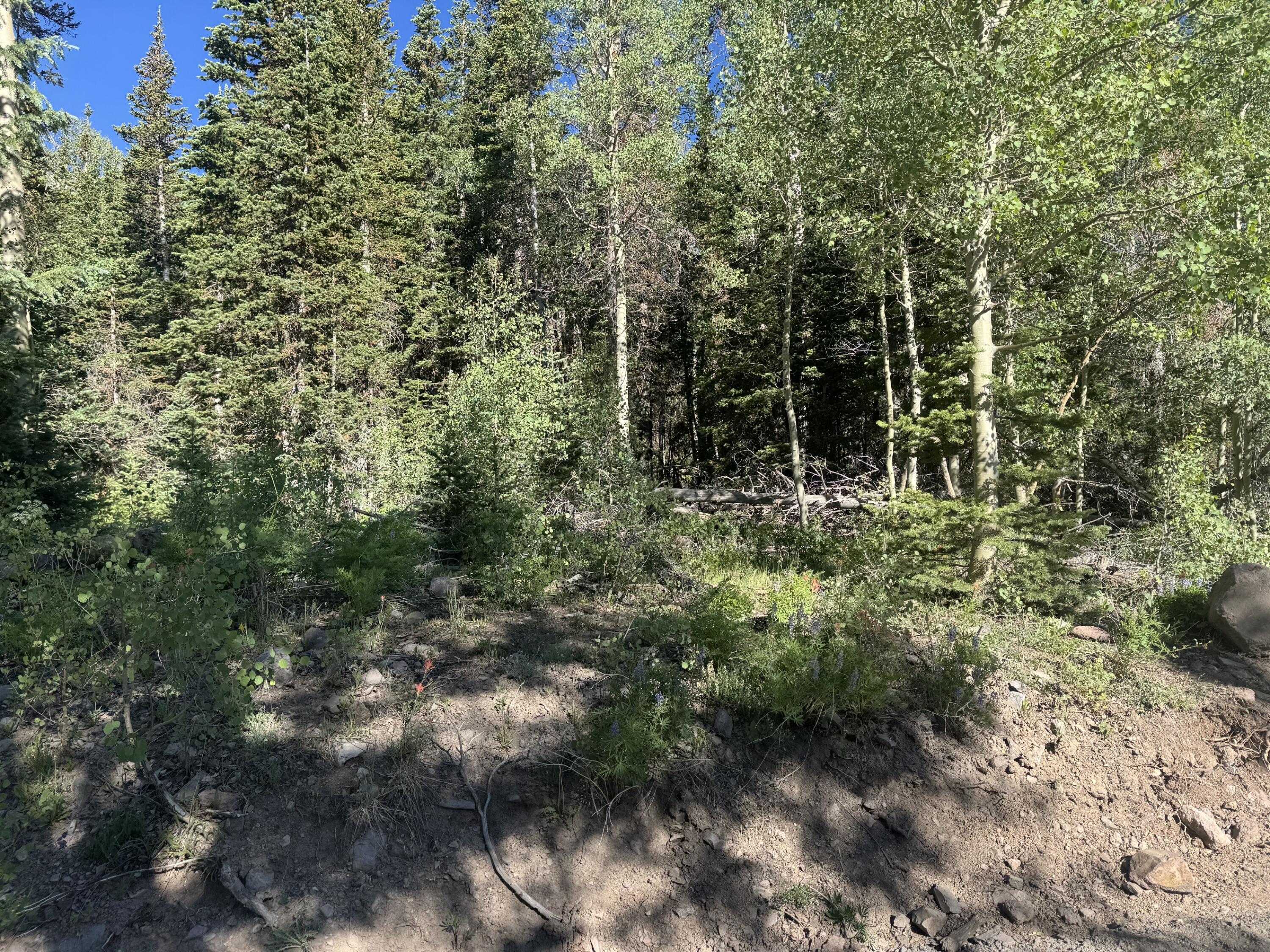 313 N 275 E, CBME unit C lot 111, Brian Head, UT 84719 — photo 1