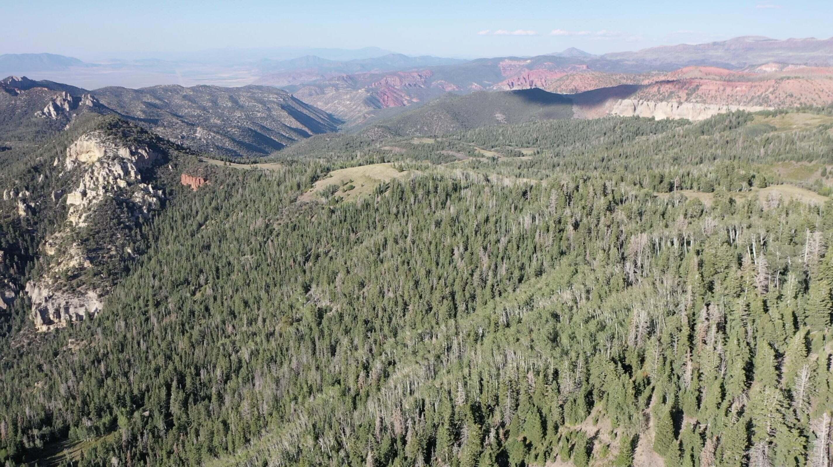 20 Acres West of Dry Lakes Road RD, Brian Head, UT 84719 — photo 1