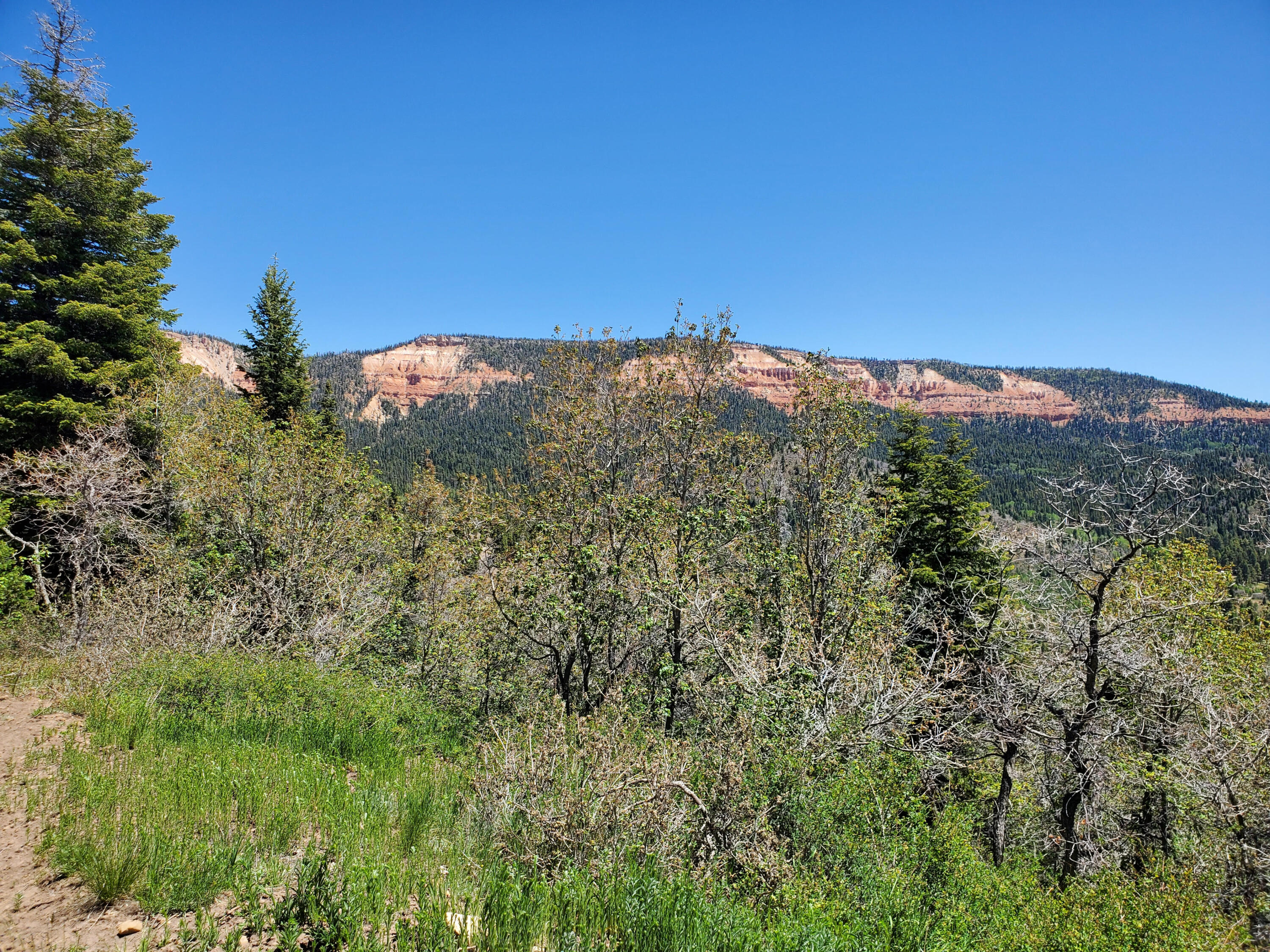 Lot 6 North Fork Estates, Duck Creek Village, UT 84762 — photo 1