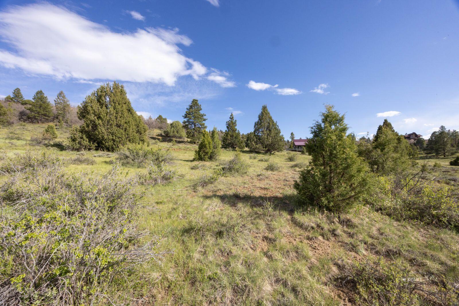 3290 Roosevelt LN, Alton, UT 84710 — photo 1