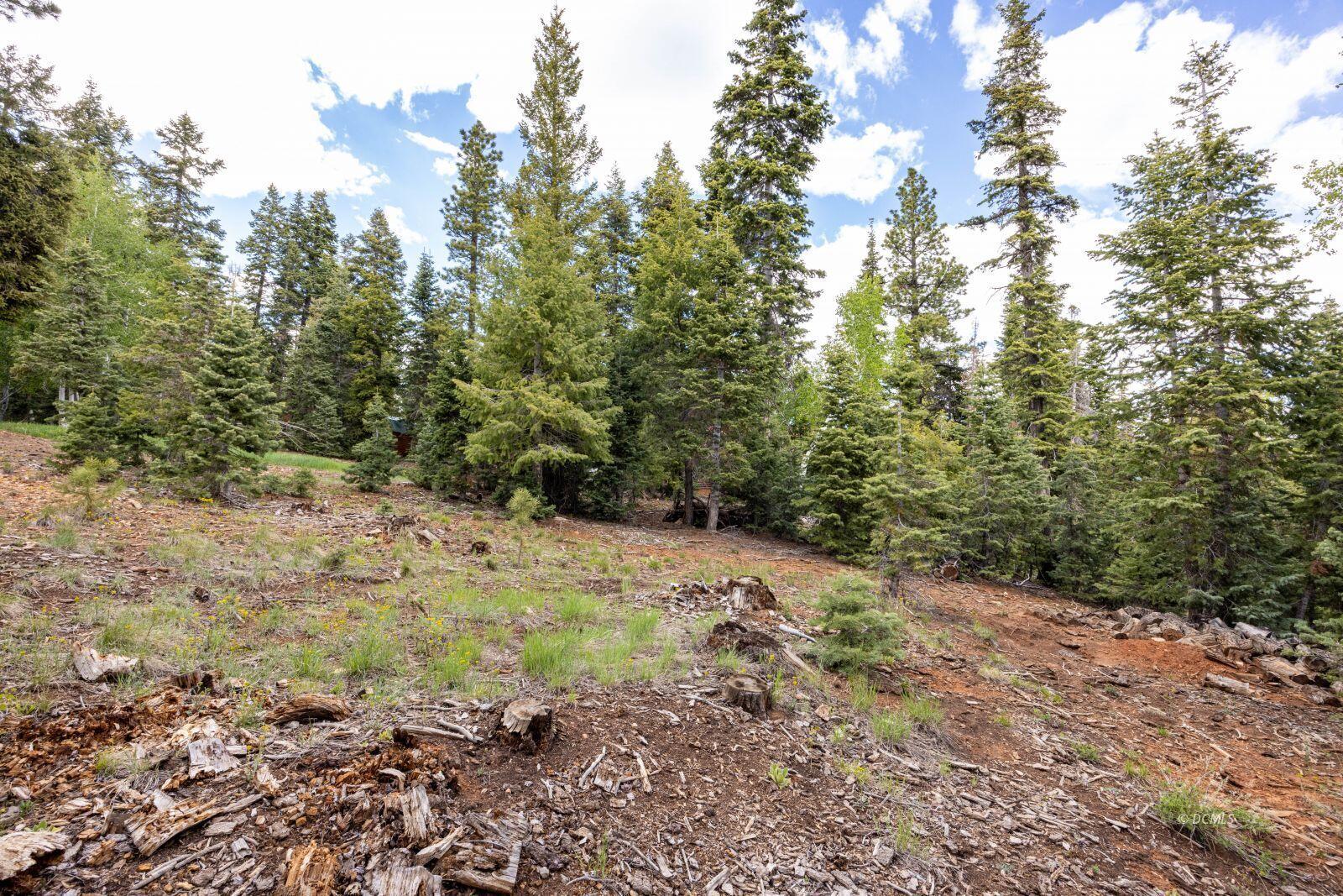 985 Bonanza RD, Duck Creek Village, UT 84762 — photo 1