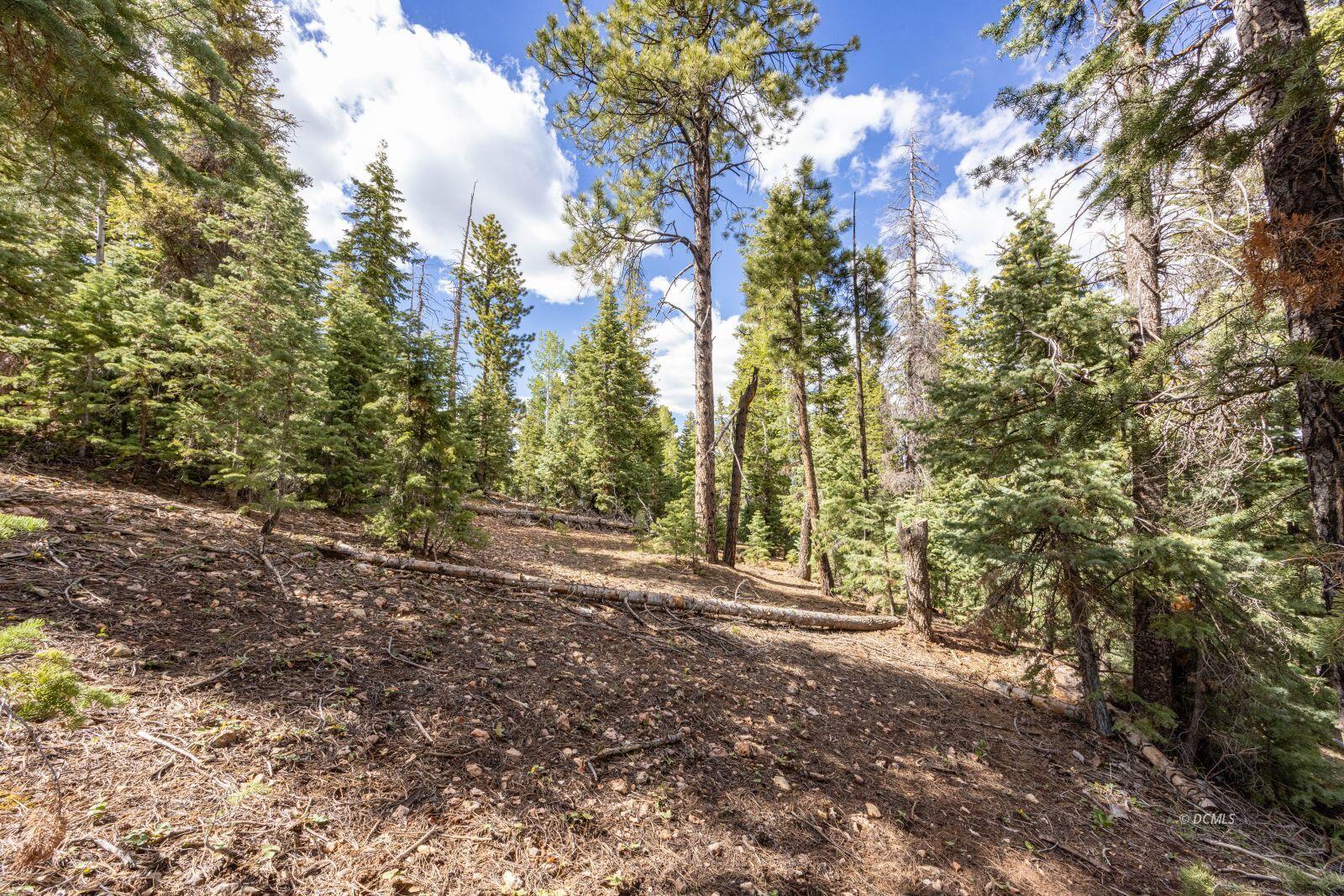 955 Bonanza RD, Duck Creek Village, UT 84762 — photo 1