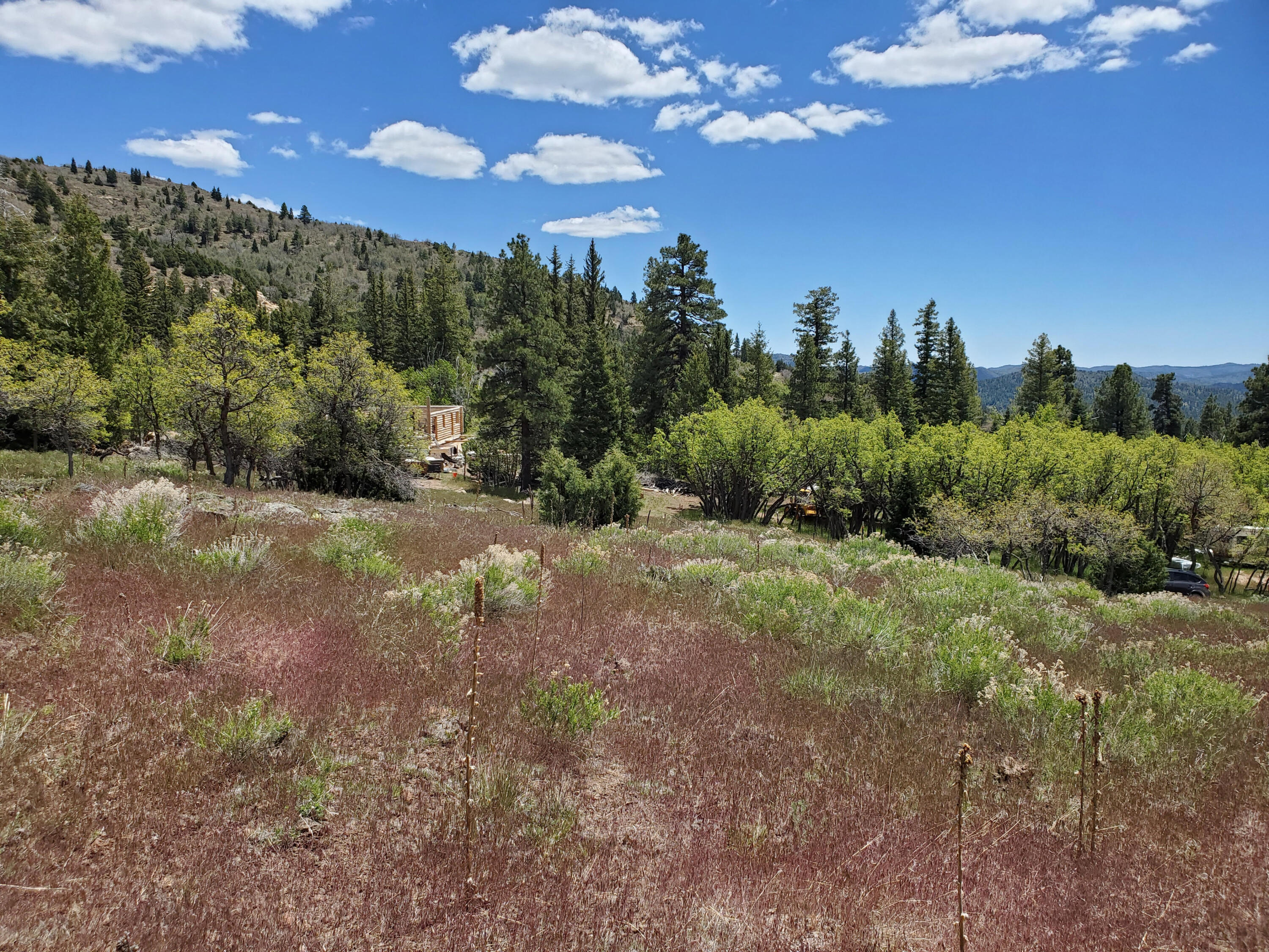 146 &147 W N Cottonwood Cir N, Duck Creek Village, UT 84762 — photo 1