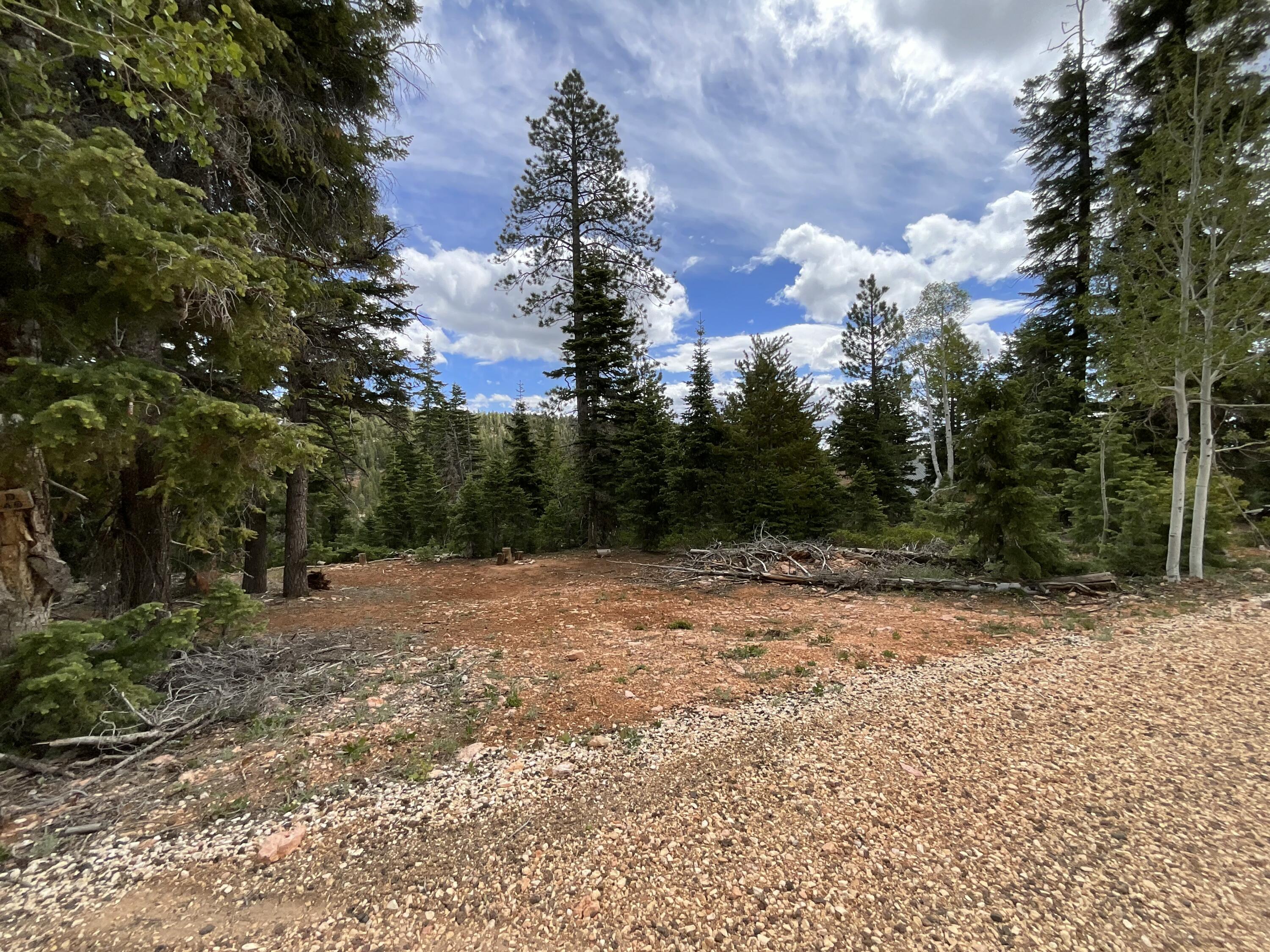 175 S Lupin LN, Duck Creek, UT 84762 — photo 1