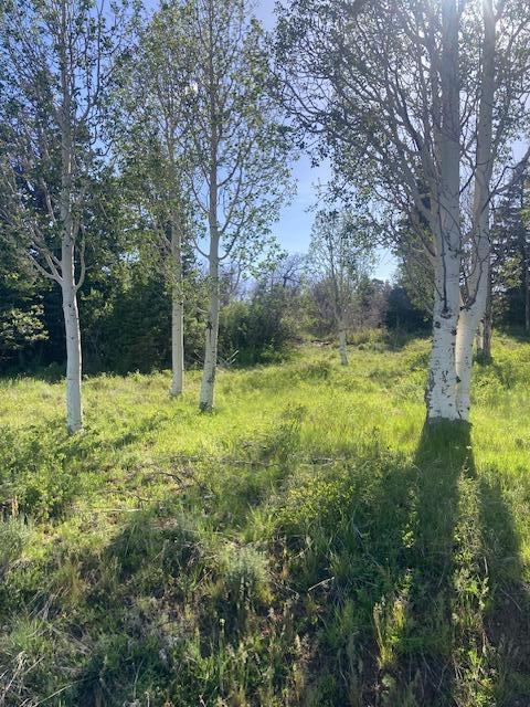 271 N Whispering Pines RD 21, Kolob, UT 84767 — photo 1