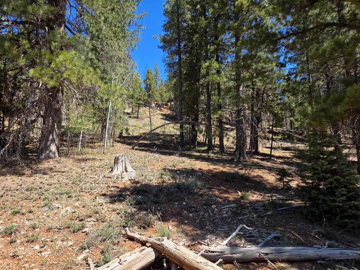 2175 E Sleepy Meadow LN, Duck Creek Village, UT 84762 — photo 1