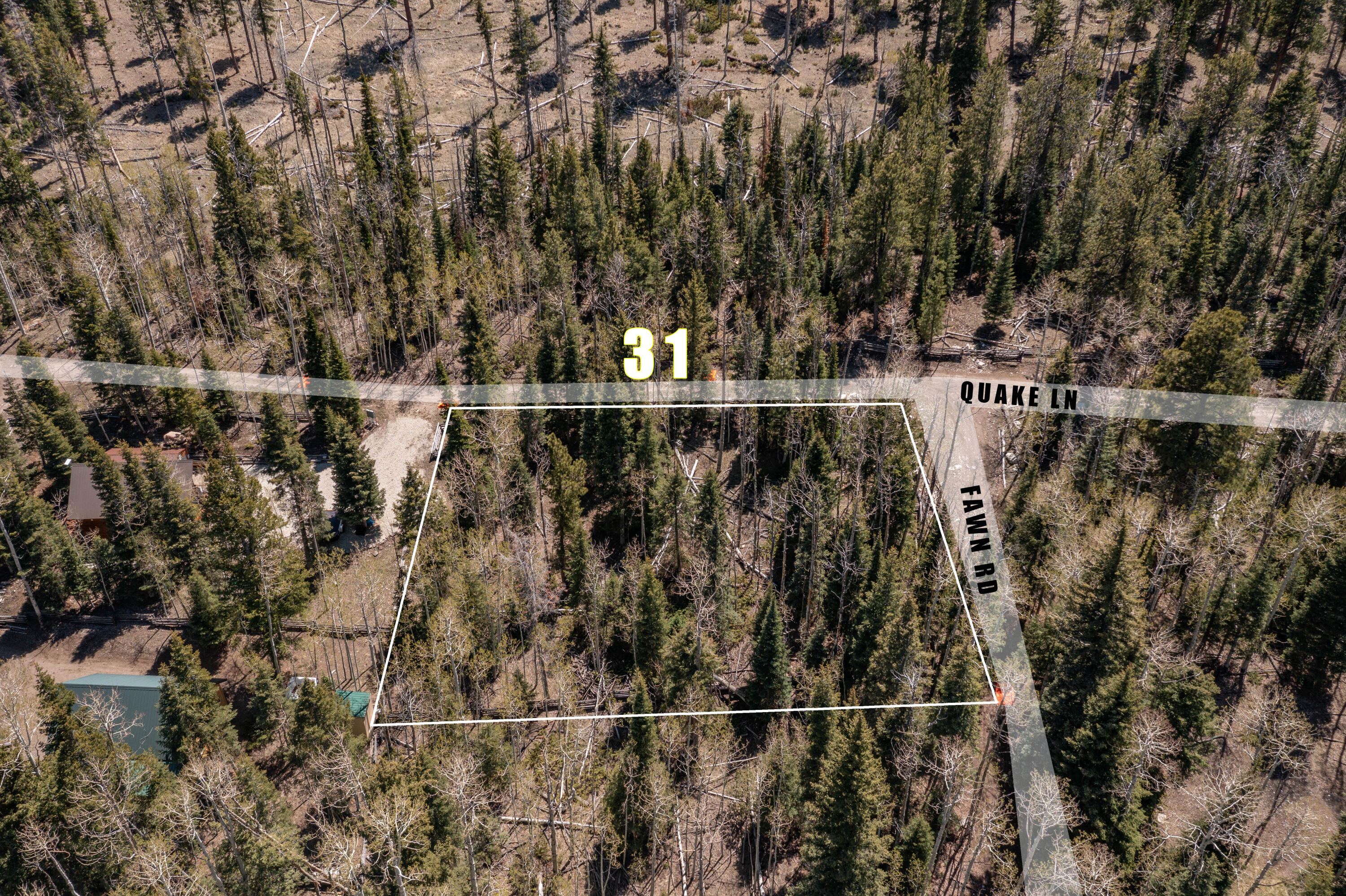 Fawn RD, #31, Panguitch Lake, UT 84759