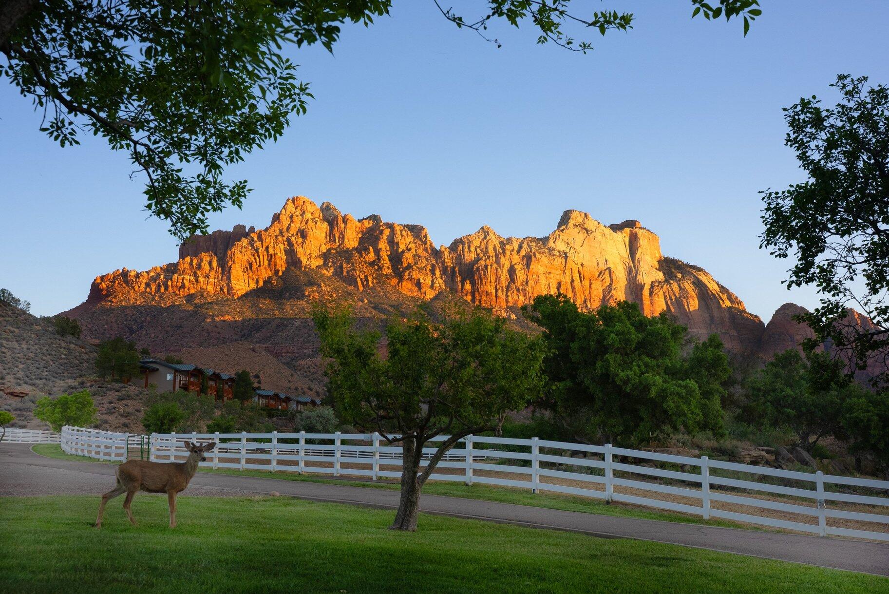 2428 Zion Park Blvd, Springdale, UT 84767 — photo 1