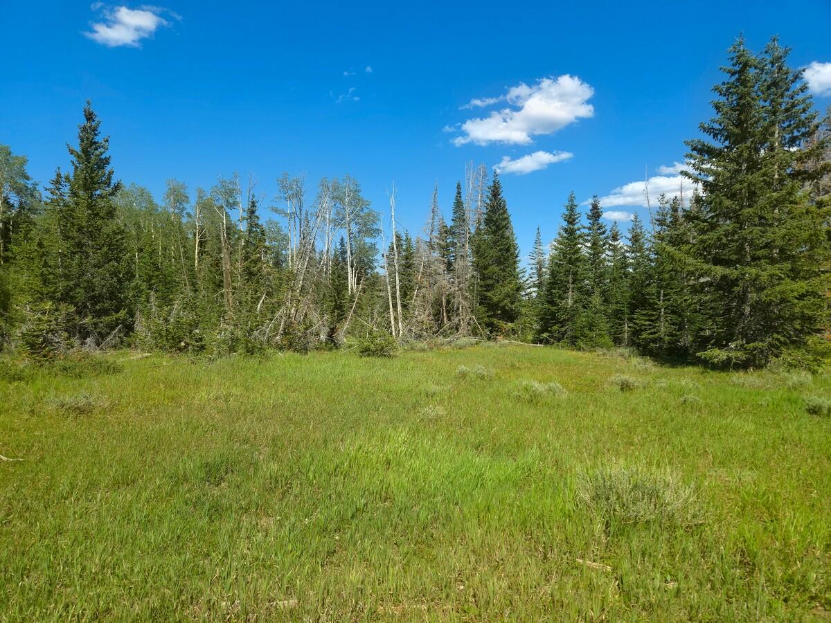 2397 E Rainbow LN, Brian Head, UT 84719 — photo 1