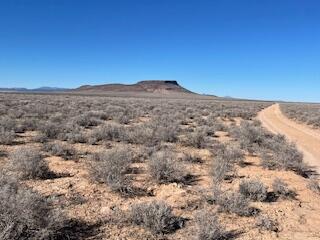 220 Acs E1/2 SEC 20, T34S, R14W,SLM., Beryl, UT 84714 — photo 1