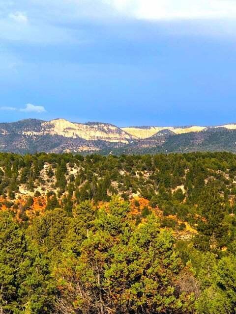 5.02 Acres Francis Street 2, Duck Creek, UT 84762 — photo 1