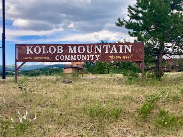 1 Acre Lot N Kiwi LN 102-A-2-C-HV, Kolob, UT 84767 — photo 1