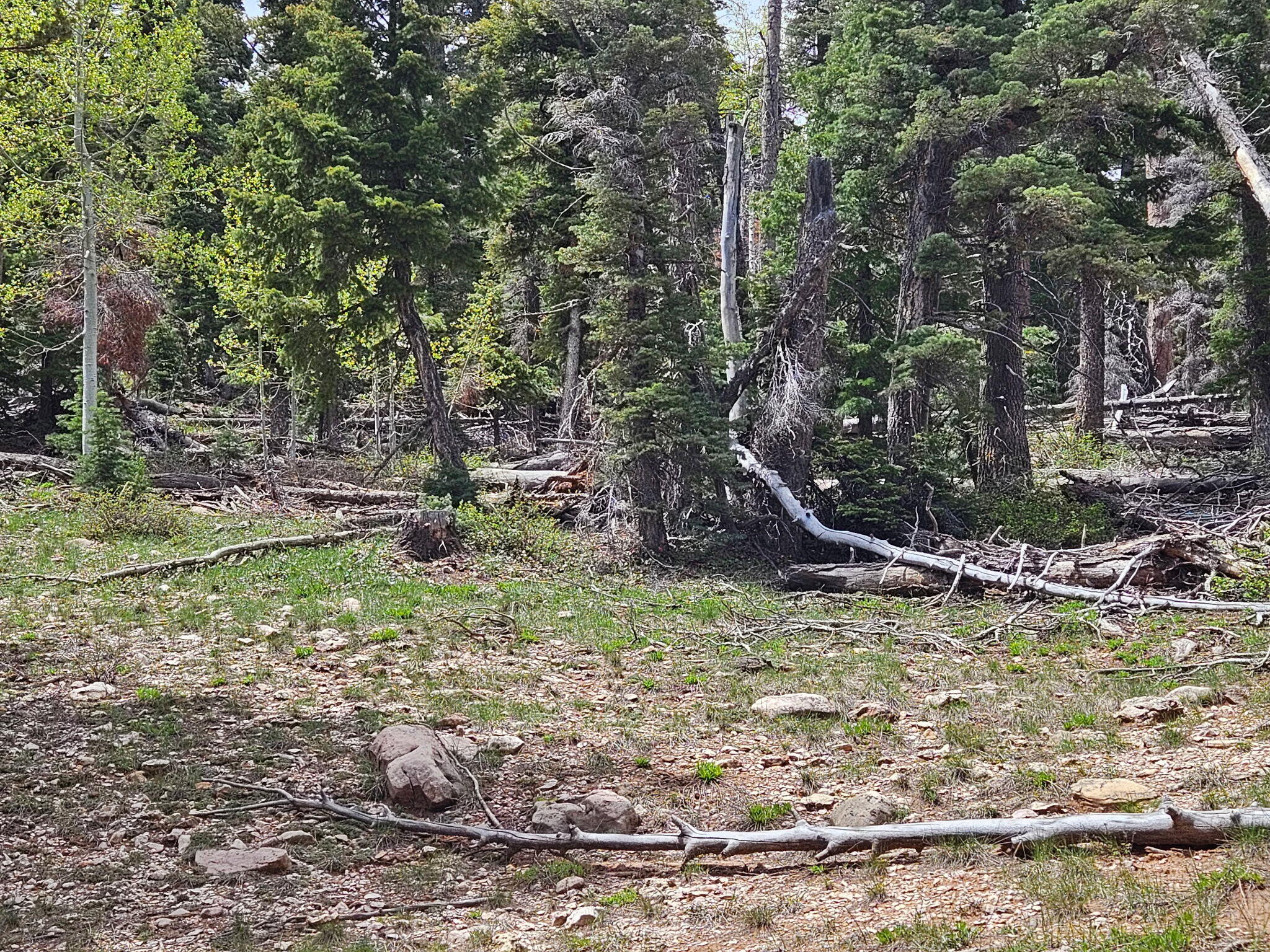 6250 W Brook LN, Duck Creek, UT 84762 — photo 1