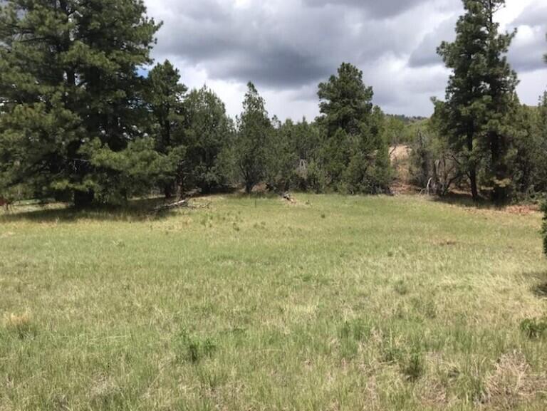 2655 E Cedar DR 39, Kolob, UT 84767 — photo 1