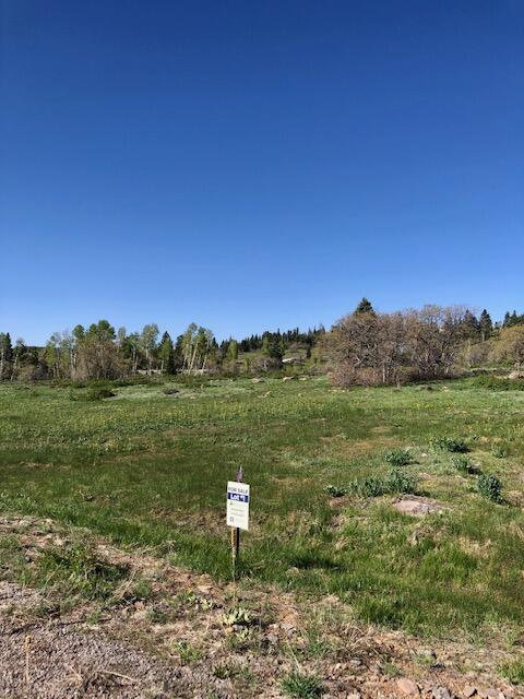 141 N Spring DR 1, Kolob, UT 84767 — photo 1