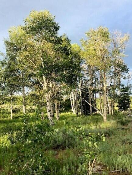 245 N Whispering Pines RD 19, Kolob, UT 84767 — photo 1