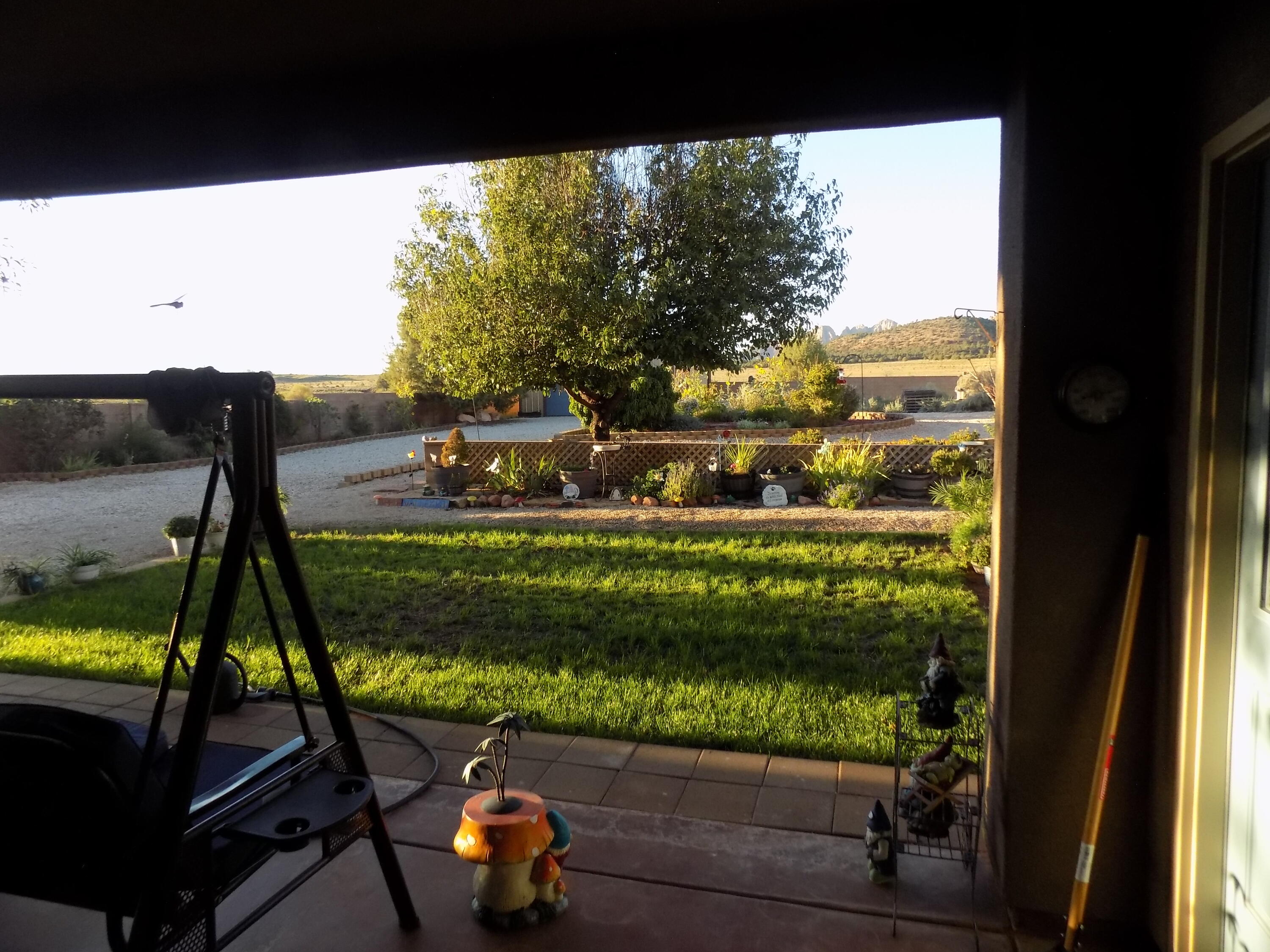 1123 E BIG PINION LN, Apple Valley, UT 84737 — photo 1
