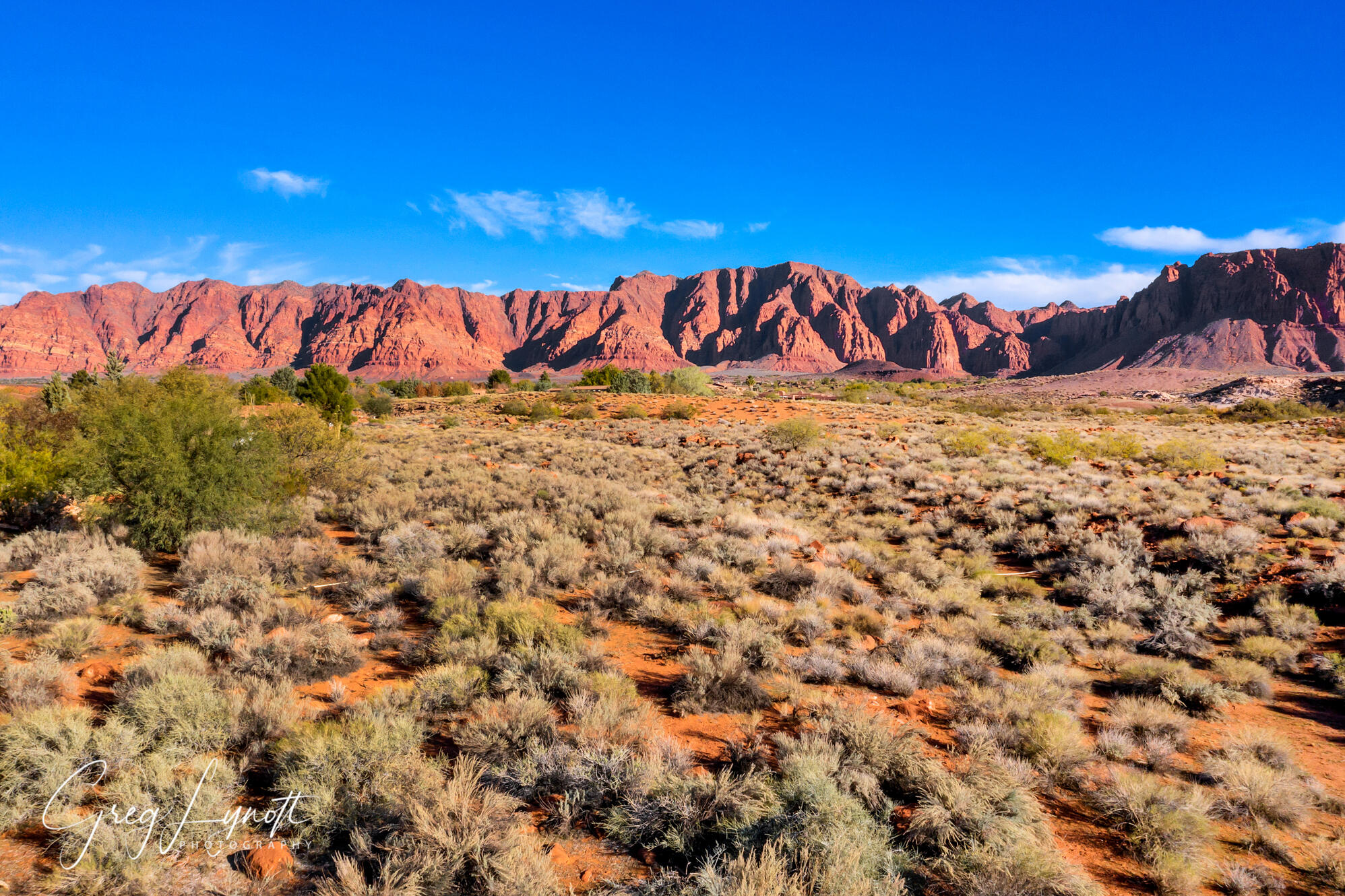 1312 Willow Springs Way 1, Ivins, UT 84738 — photo 1