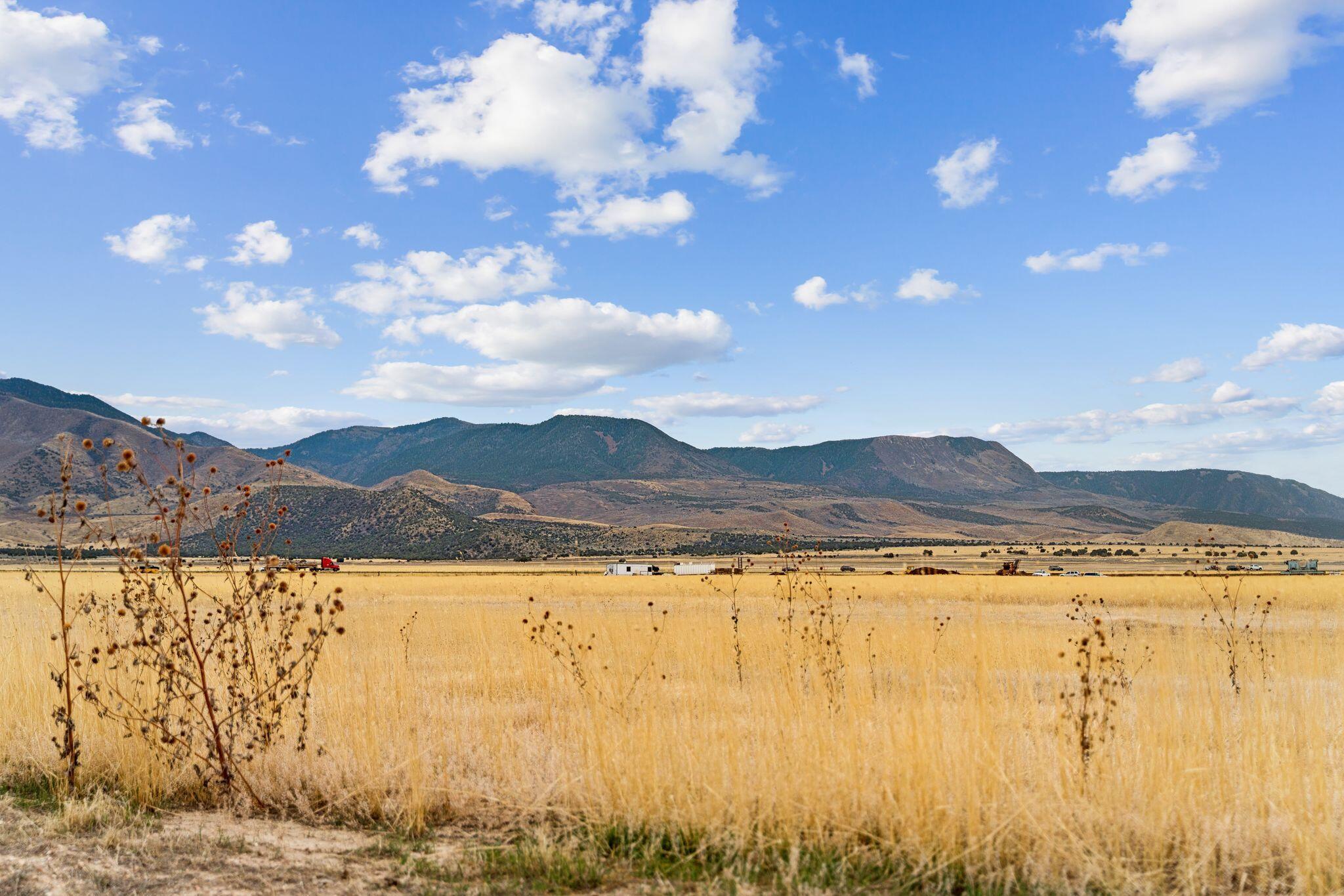1615 W Sunflower Ln LN 4, Fillmore, UT 84631 — photo 1