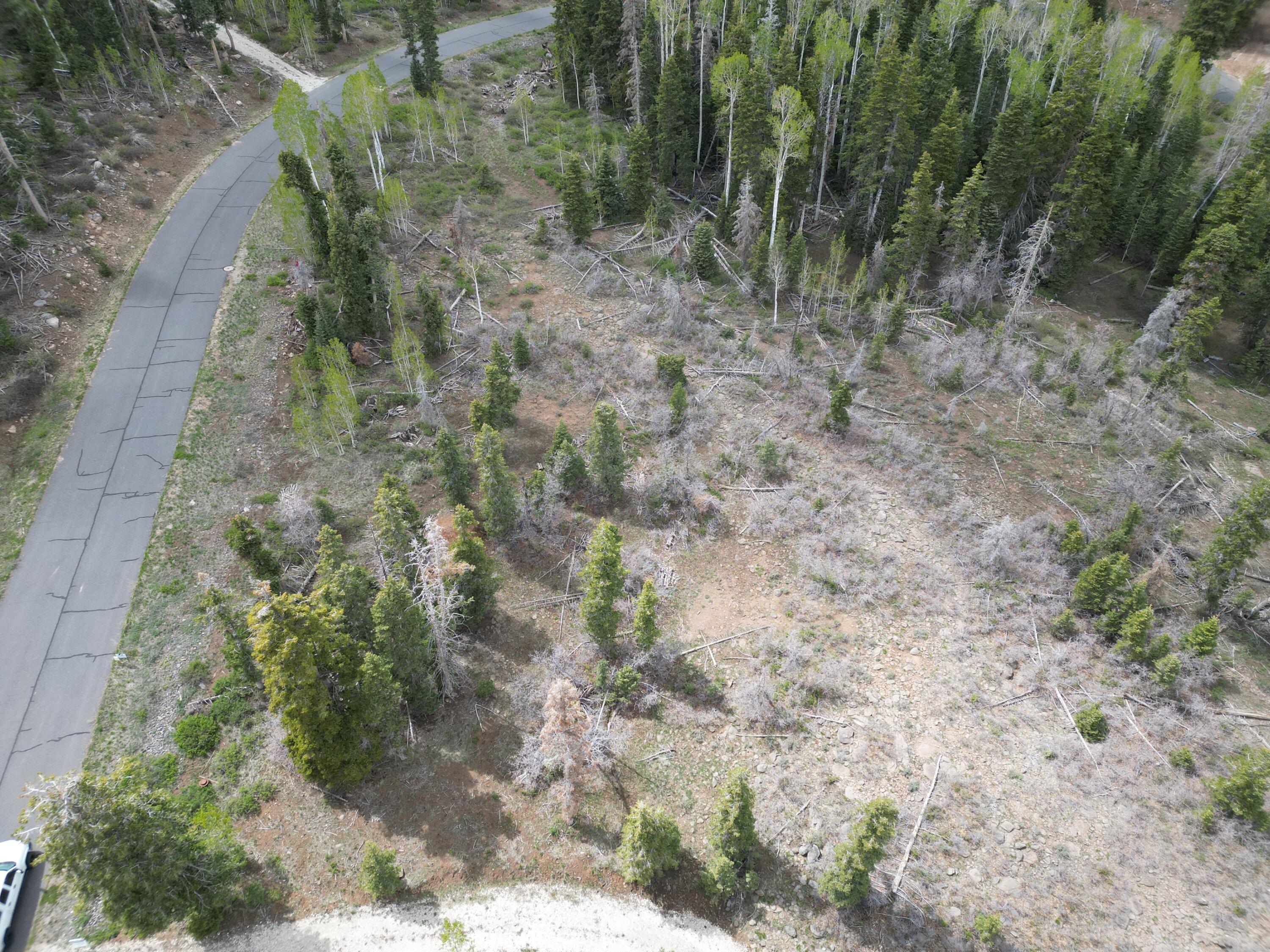 Kolob Ter RD, UT, , UT — photo 1