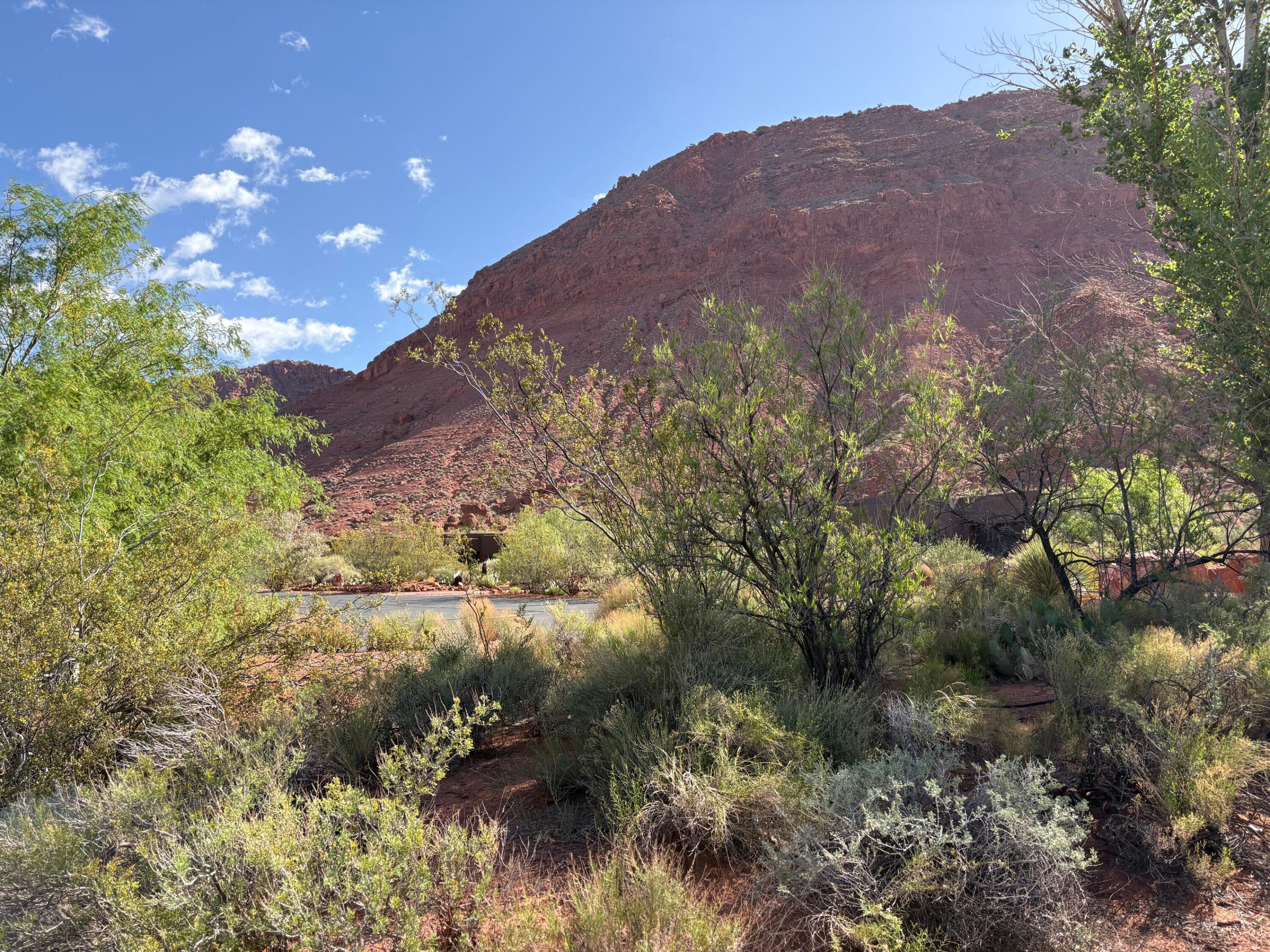 TBD N Agave Way 107, Ivins, UT 84738 — photo 1