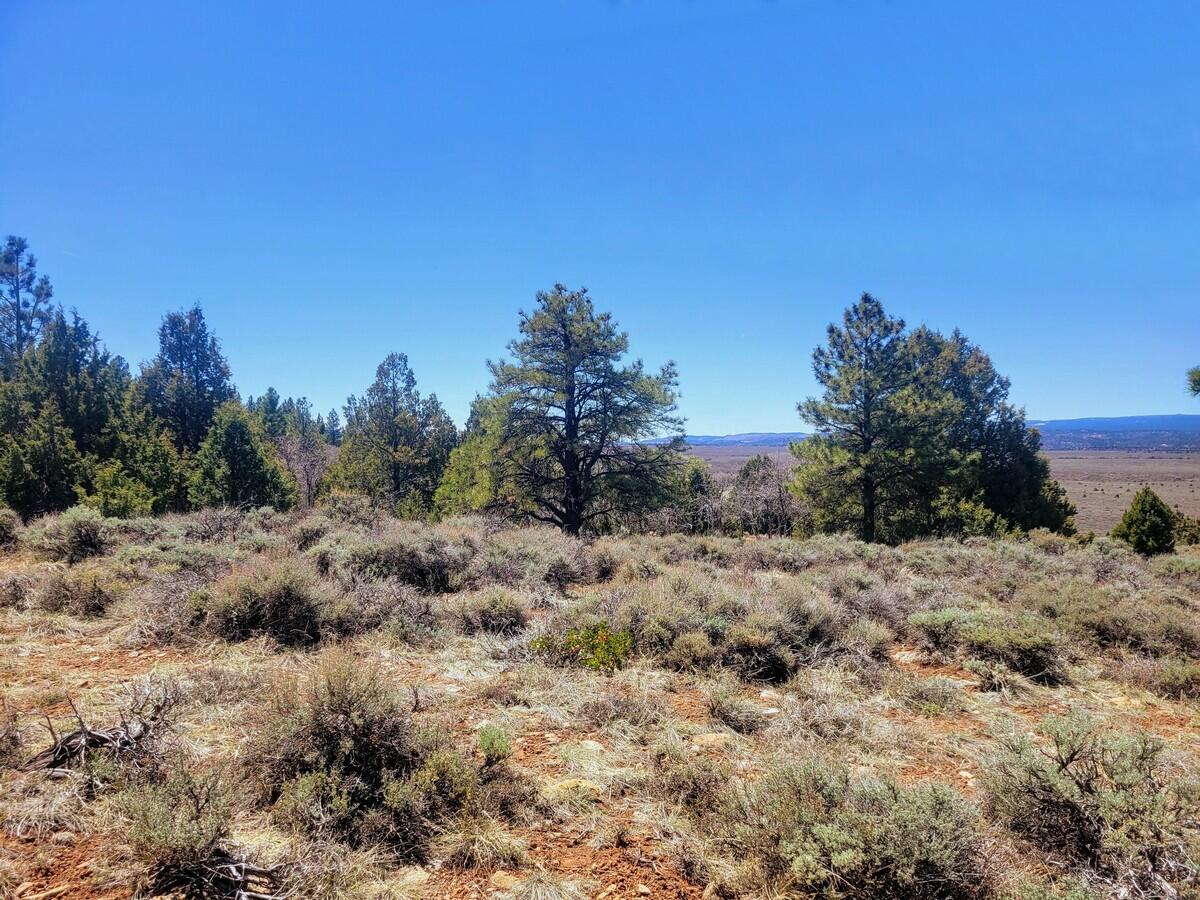 Lot 5 Valley View DR, Duck Creek, UT 84762 — photo 1