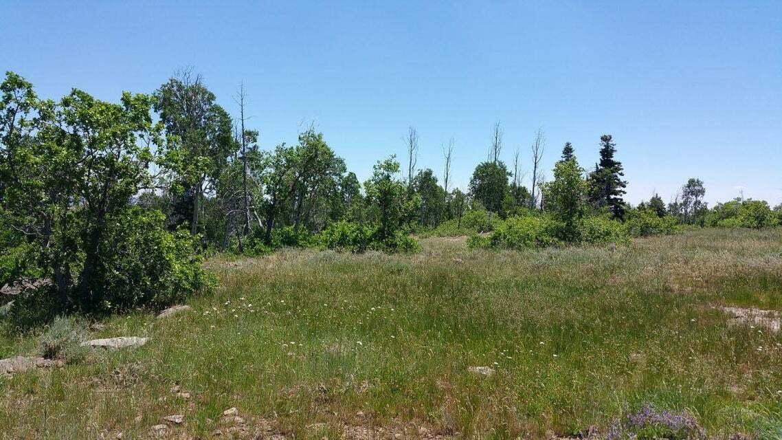 Lot 8 Spring Drive 8, Kolob, UT 84767 — photo 1
