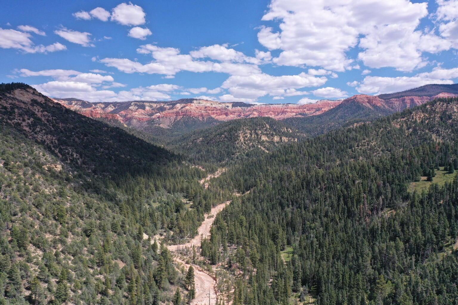Cedar Mountain Ashdown Gorge-B