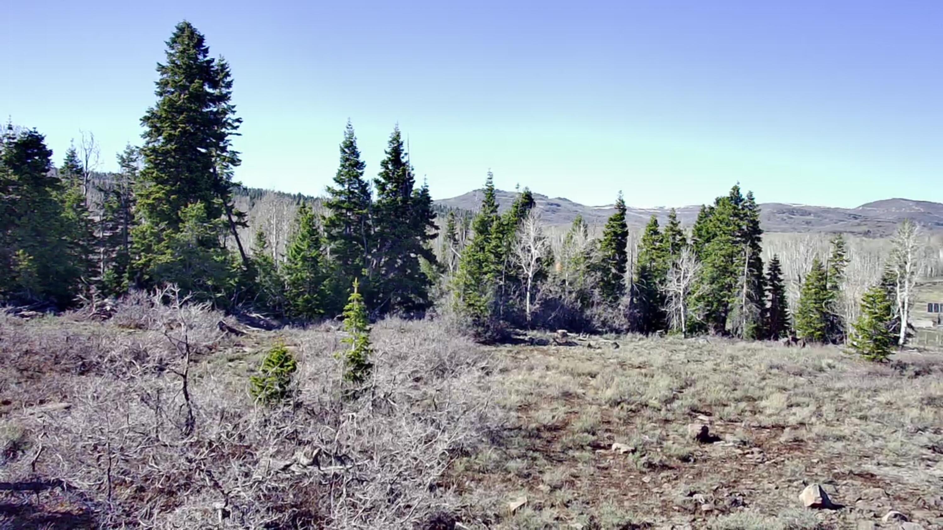 216 W Maple Cir 24, UT, , UT  — photo 1