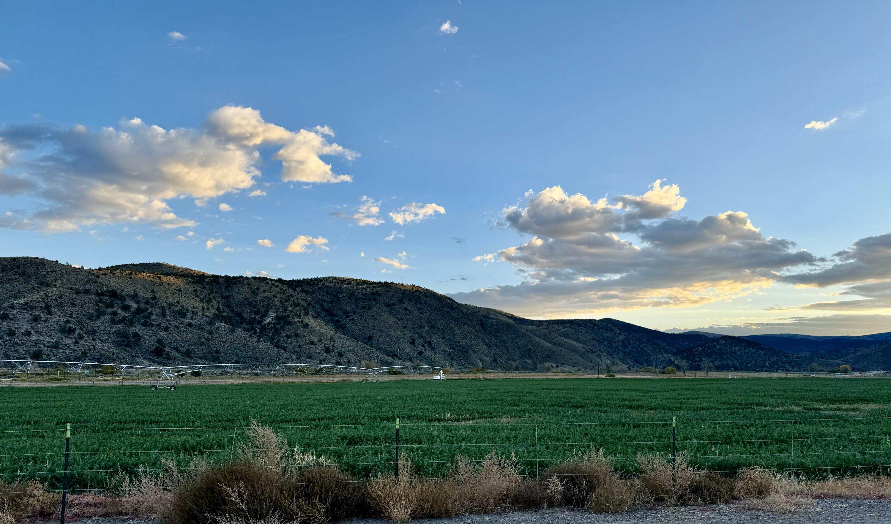 8, Circleville, UT 84723 — photo 1