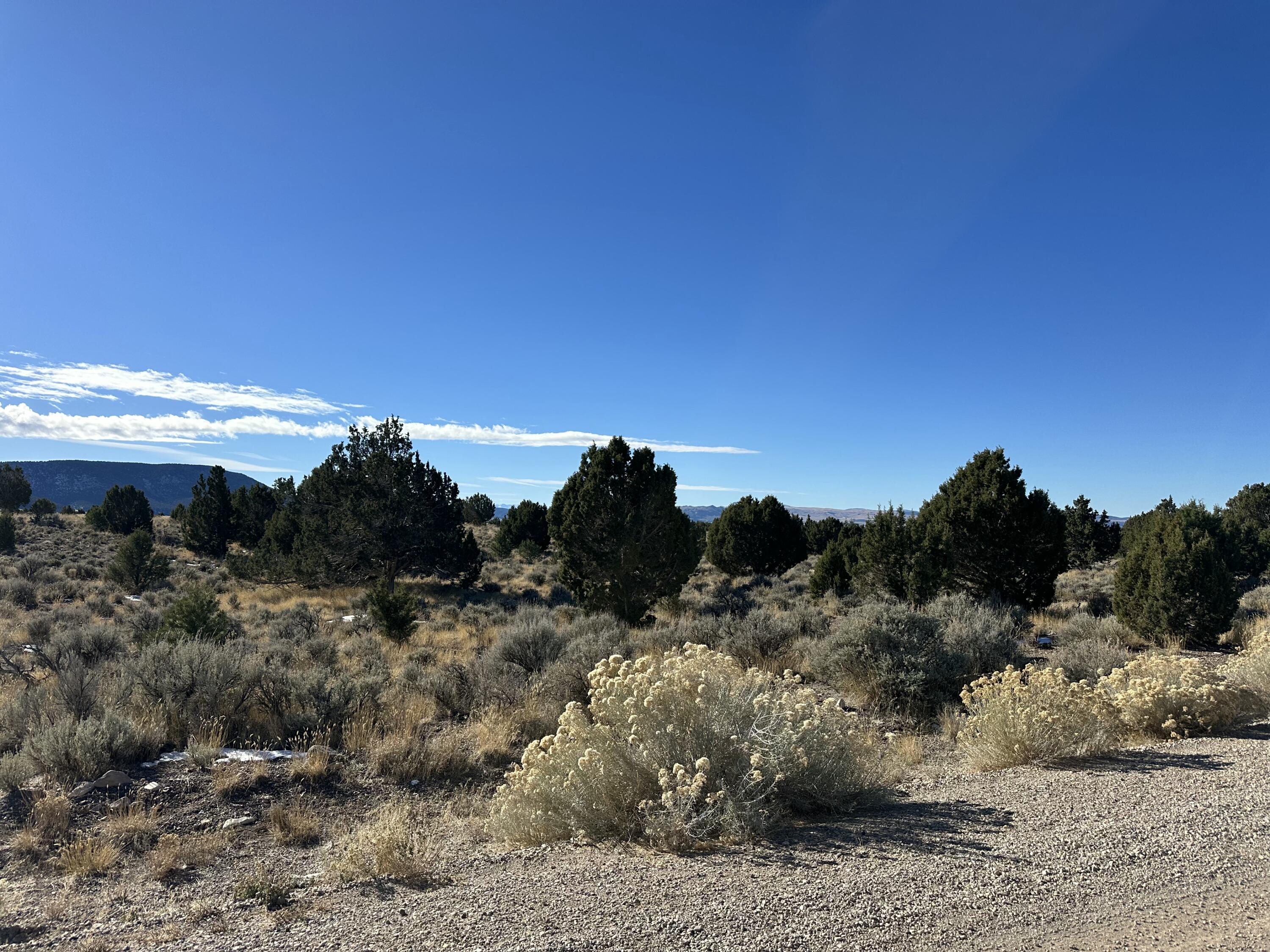 Parcel 01-0248-0009, Beaver, UT 84713 — photo 1