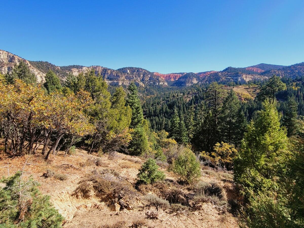 Lot 18 White Sands Loop, Duck Creek, UT 84762 — photo 1