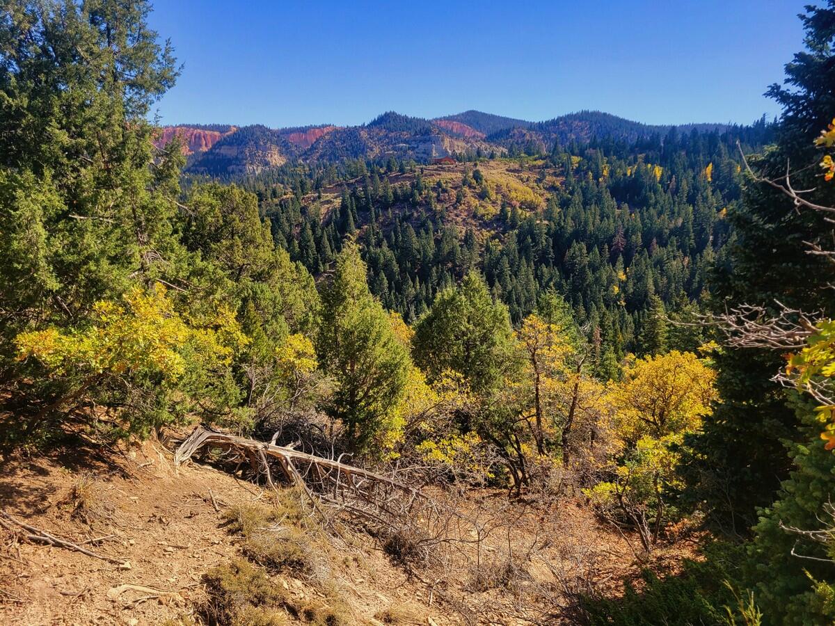 Lot 22 Bonnie Green DR, Duck Creek, UT 84762 — photo 1