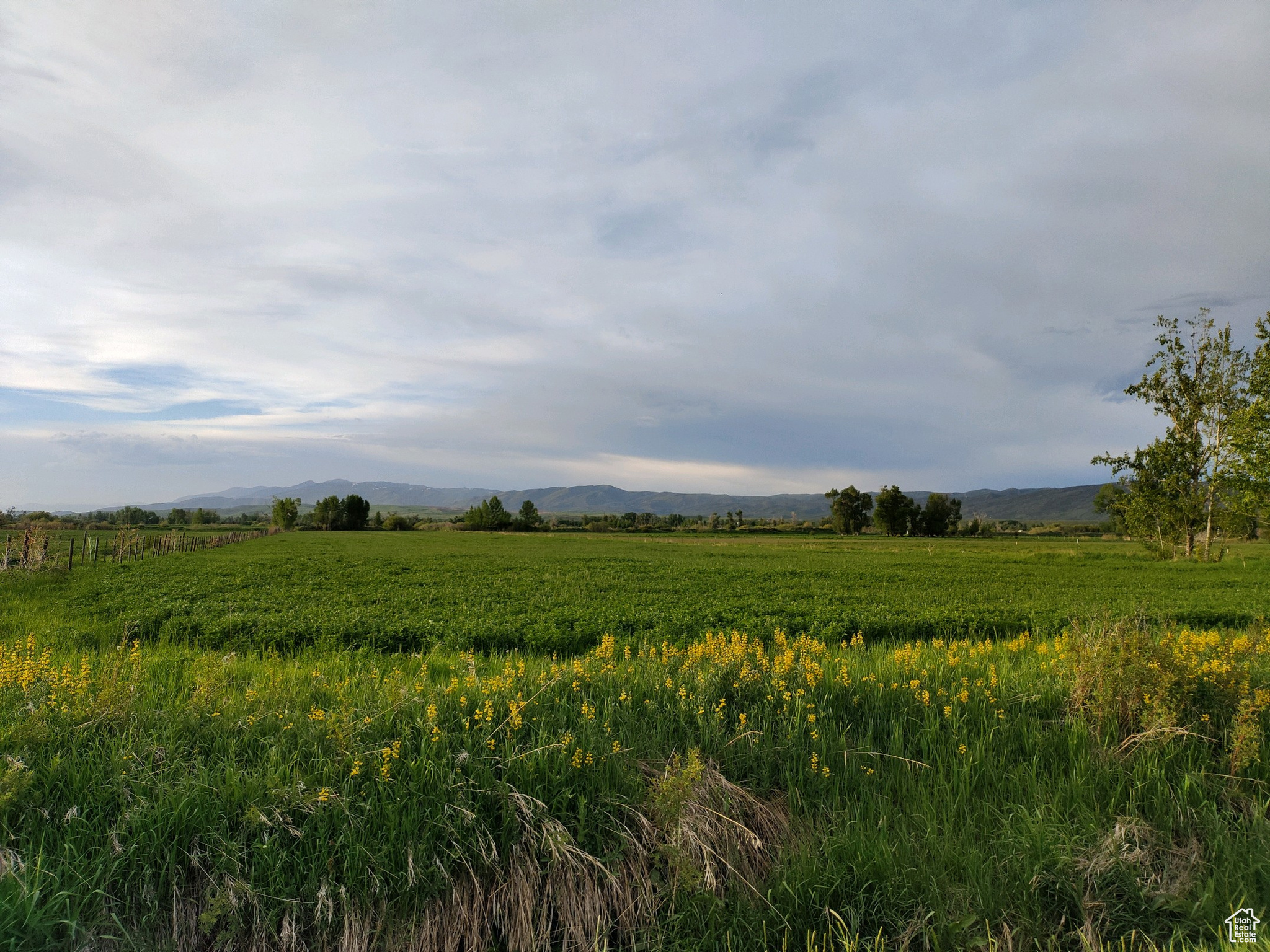 302 4TH, Dingle, ID 83233 — photo 1