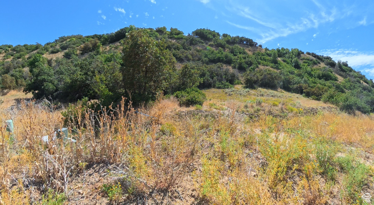 3635 S RIVERSTONE RD, Mapleton, UT 84664 — photo 1