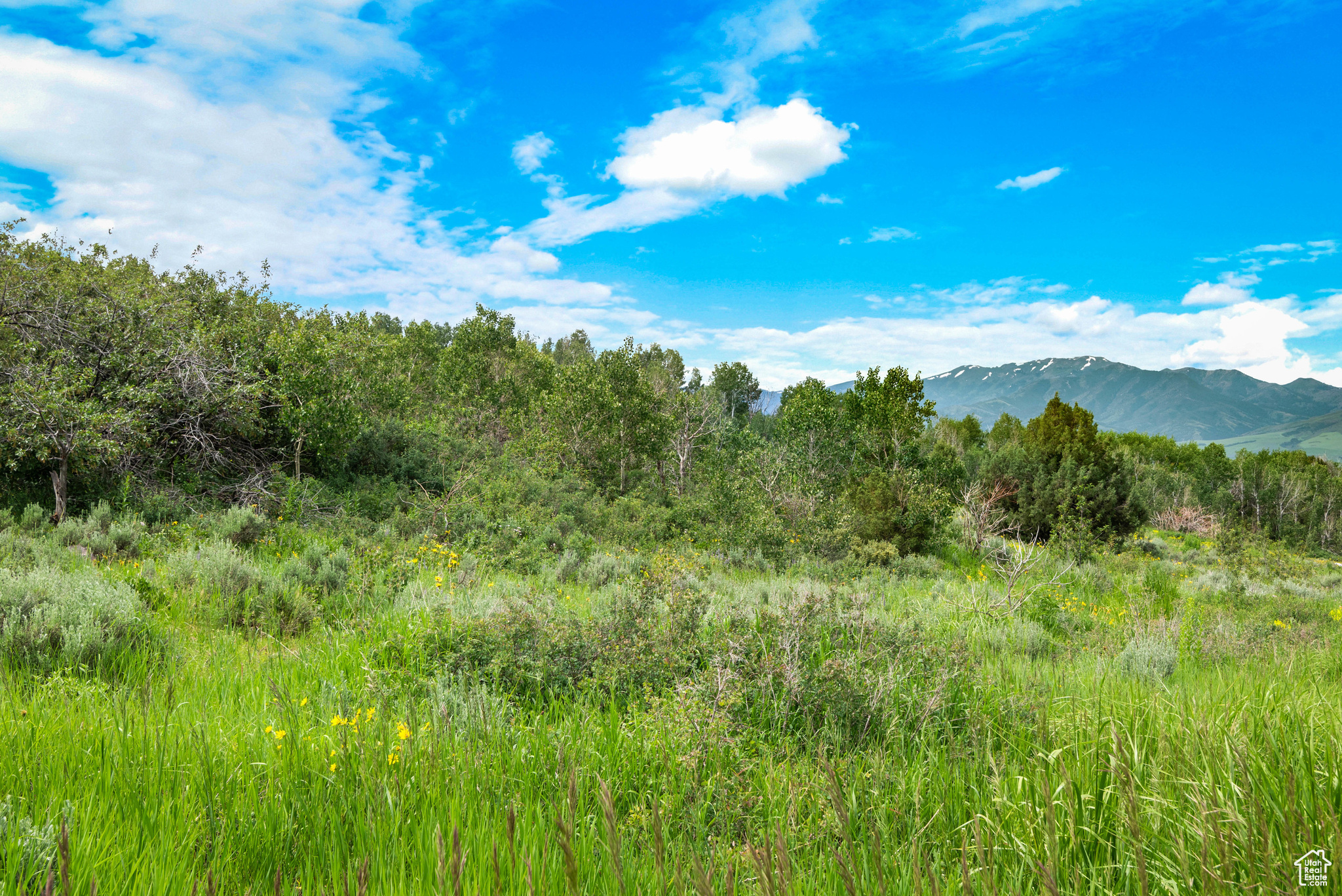 GREEN CANYON RD, Inkom, ID 83245 — photo 1