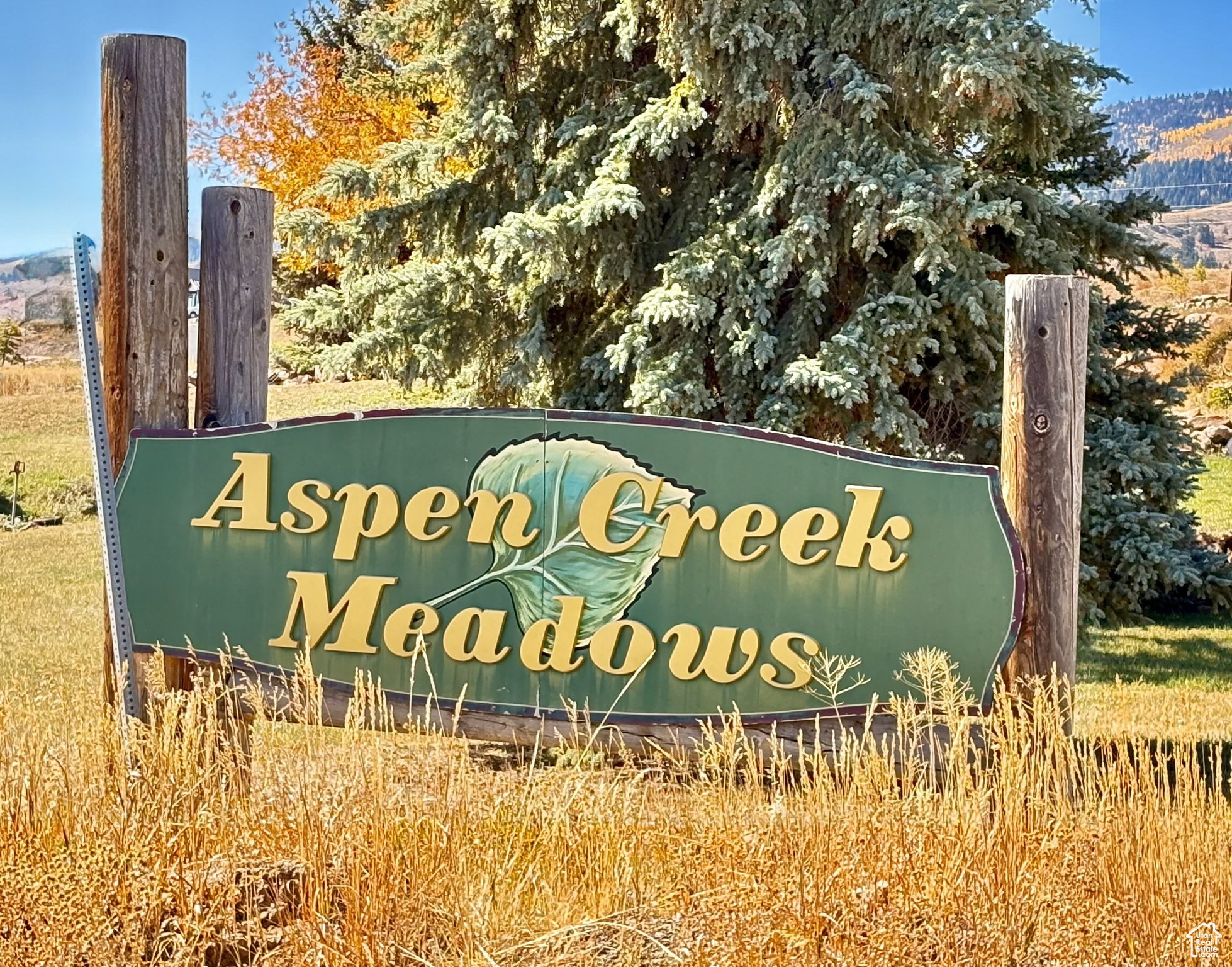 197  BROWN BEAR WAY, Fish Haven, ID 83287 — photo 1