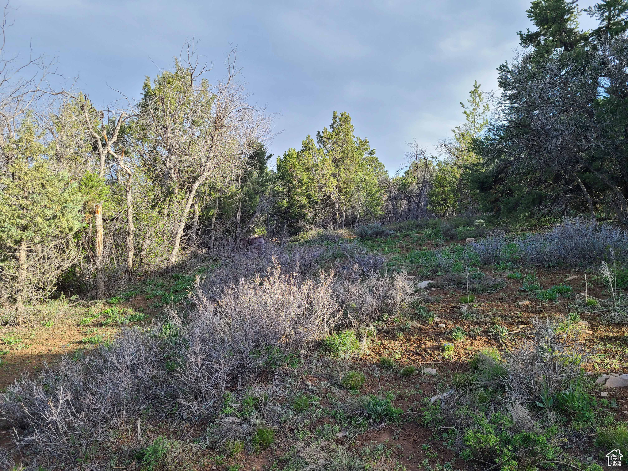 36250 N 10750 E, Indianola, UT 84629 — photo 1