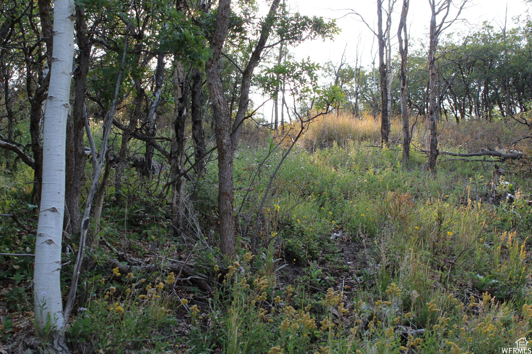 1747 S BEAVER BENCH, Heber City, UT 84032 — photo 1