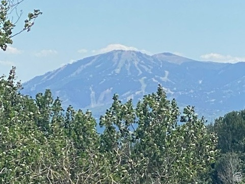 2684 S FOREST MEADOW RD, Coalville, UT 84017 — photo 1