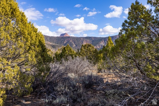 3754  OVERLOOK DR, New Harmony, UT 84757 — photo 1